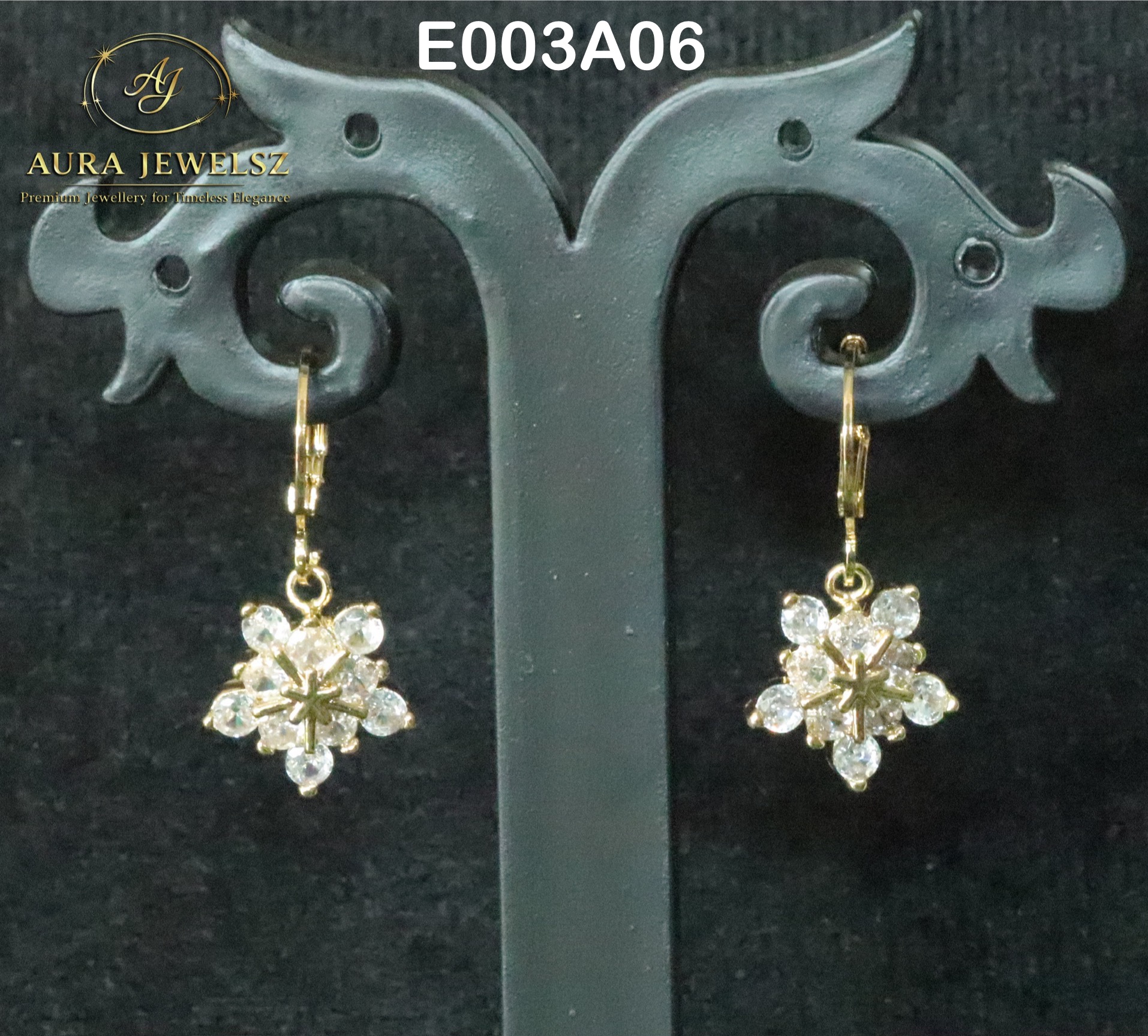 Ear Rings